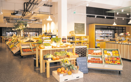 Kleiner Player mit großem Herzen