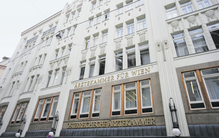 Streit in Ärztekammer ruft jetzt Minister auf den Plan