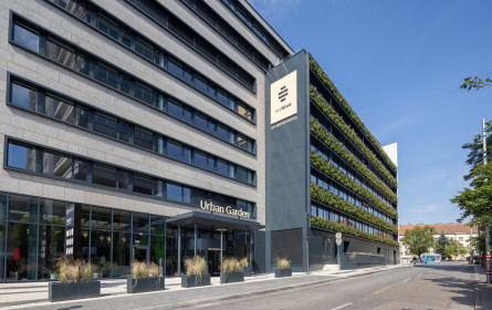 Eine grüne Office-Oase