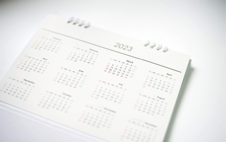 Organisation im Blick