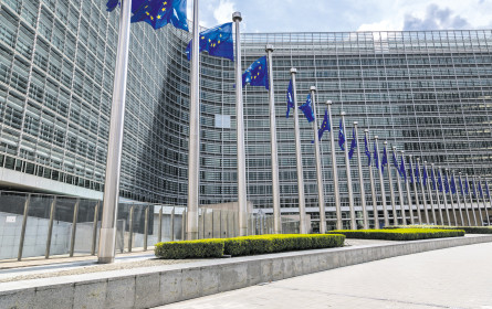 Kritik an EU-Plänen