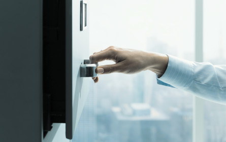 Die Problemfelder der globalen Assekuranzen