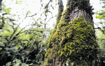 „Chance, Geschichten ganz neu zu erzählen”