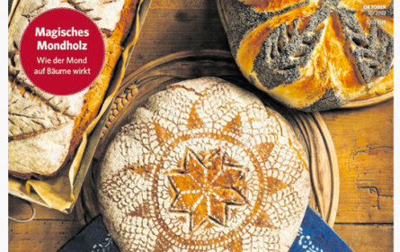 Führend unter den Kauftiteln