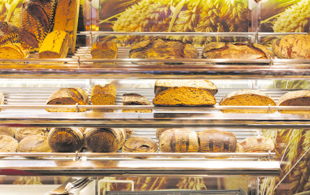 Wie die Branche die Geschäftslage beurteilt