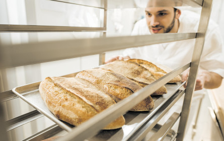Die vielfältige Brotwelt