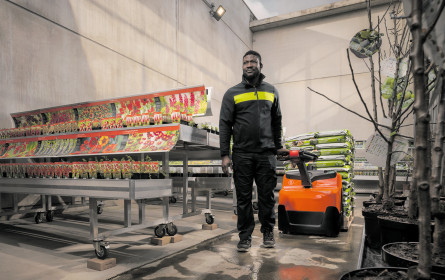 Bienvenue et merci, Toyota!