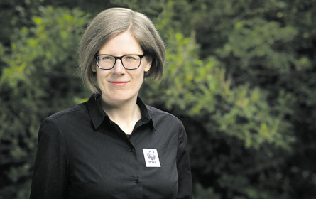 Regional und bio statt zu viel Käse