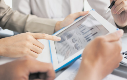 Der ungehobene Schatz der heimischen Firmen