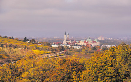 Live-Recruiting für den Wienerwald