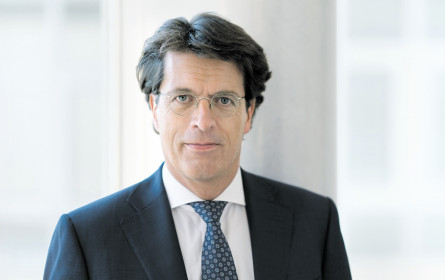 Schaeffler will Vitesco