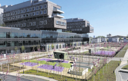 Rüge für Spitäler