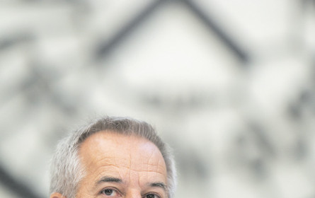 Schaeffler-Werk geht an Siegfried Wolf