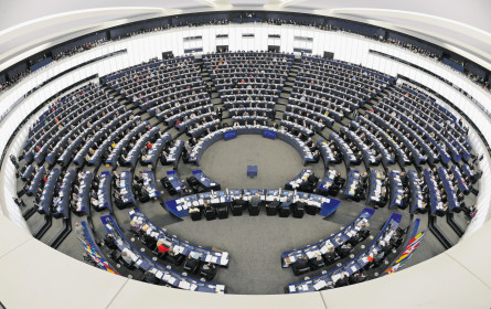 EU-Wahlen in Zeiten von Social Media & AI