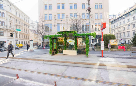 Billa holt den Dschungel in die Stadt