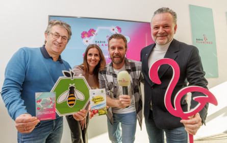 Radio Flamingo: Das Summen darf nicht verstummen