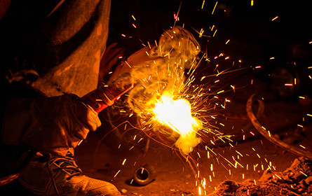 Scheue Spezies Konjunktur