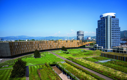 Schwacher Markt, schwache Zahlen