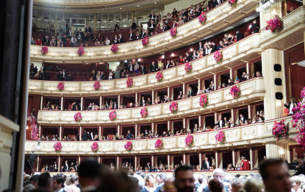 WK Wien: Ballsaison sprengt alle Rekorde