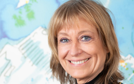 Himmelhoch fragt die Mitzi