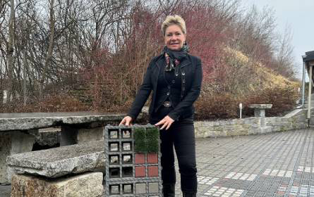 Naturnahe Gestaltung von Parkflächen als Beitrag zum Umweltschutz