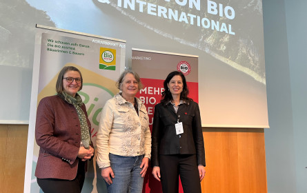 Konsumenten halten Bio die Treue