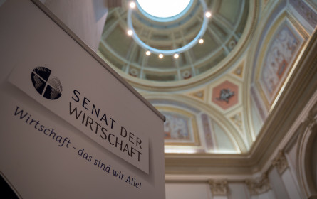 Senat der Wirtschaft ruft zum Rulebreaking im Superwahljahr auf