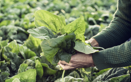 Österreich is(s)t in der Karwoche traditionell