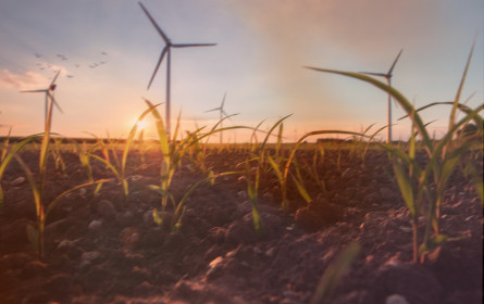 Energieanbieter Maxenergy mit neuem Angebot