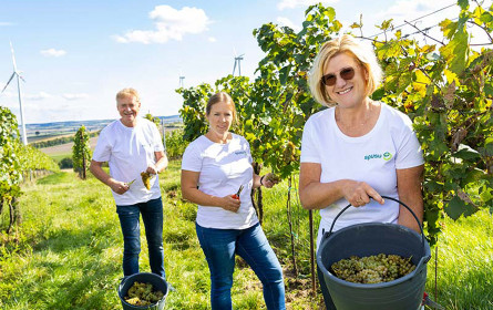 spusu-Wein auf Erfolgskurs