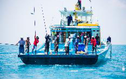 Jeder vierte Österreicher liebt Thunfisch aus der Dose