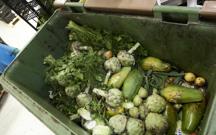 Die Tafel Österreich startet Petition