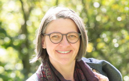 Lücken bei Aktionsplan „nachhaltige Beschaffung“