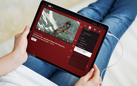 Das Team hinter ORF ON