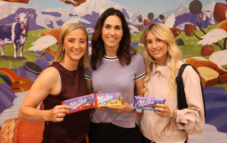 Wie die Erdbeere im Schokobrunnen