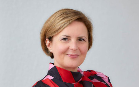 Die neue Gelegenheit beim Schopf packen