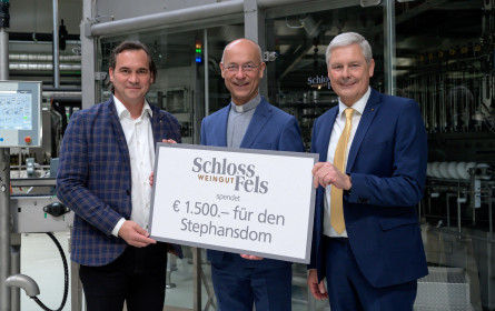 Spar und Weingut Schloss Fels spenden 1.500 Euro an Pfarrcaritas der Dompfarre St. Stephan