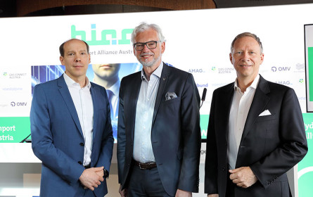 Fahrplan für grünen Wasserstoff