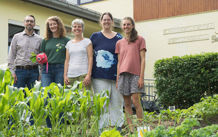 Im Kindergarten Froschheim wächst künftig Gemüse