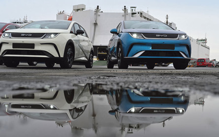 Interesse an Elektro ist leicht rückläufig