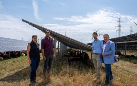 Püspök startet Photovoltaik-Offensive