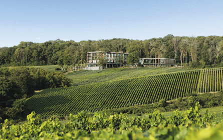 Exportschlager Loisium