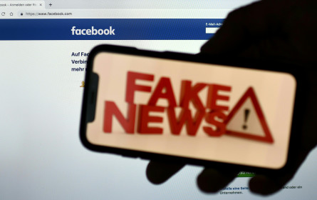 Soziologin: 20 Prozent der Österreicher unbelehrbare Falschwisser