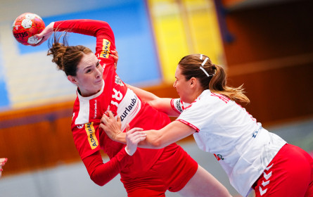 RBI geht mehrjährige Partnerschaft mit EHF Marketing ein