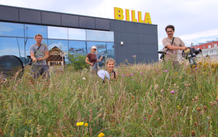 800 Tierarten auf Grünflächen bei Billa