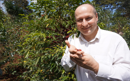 Tag des Kaffees: Fairtrade trotzt Preiskrise
