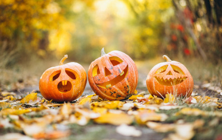 Halloween Ausgaben in Österreich steigen auf 75 Mio. Euro