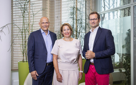 Austrian Power Grid (APG) setzt auf Medienkompetenz von dentsu