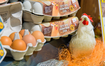 Billa bringt das „Echte Kärntner Bodenhaltungs-Ei“ in die Regale