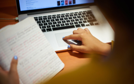 #YearInSearch: Diese Suchbegriffe wurden in Österreich 2024 am meisten gesucht